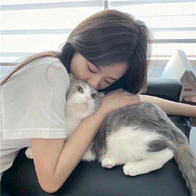 终结杉计划