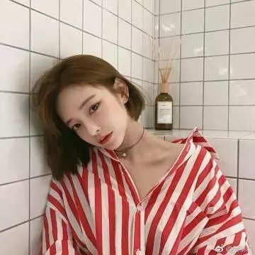 宠物粉红鹅卵石